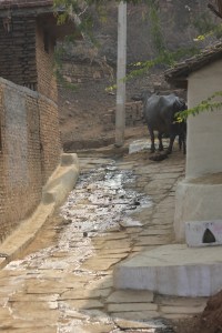 2012-12-31 Kamasutra 279