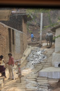 2012-12-31 Kamasutra 291