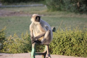 2013-01-08 January 9 433