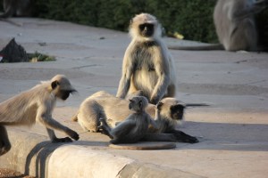 2013-01-08 January 9 435