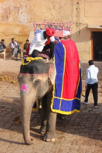 2013-01-13 January 14 a 054