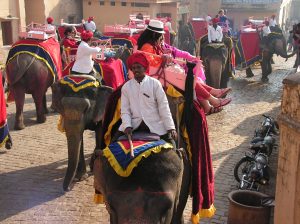 KONICA MINOLTA DIGITAL CAMERA