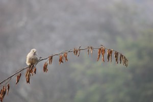 2013-01-14 January 15 145