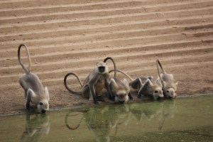 2013-01-14 January 15 249