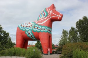 The world's largest Dalara Horse