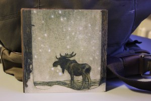 Ulricehamn 2013-07-09 006